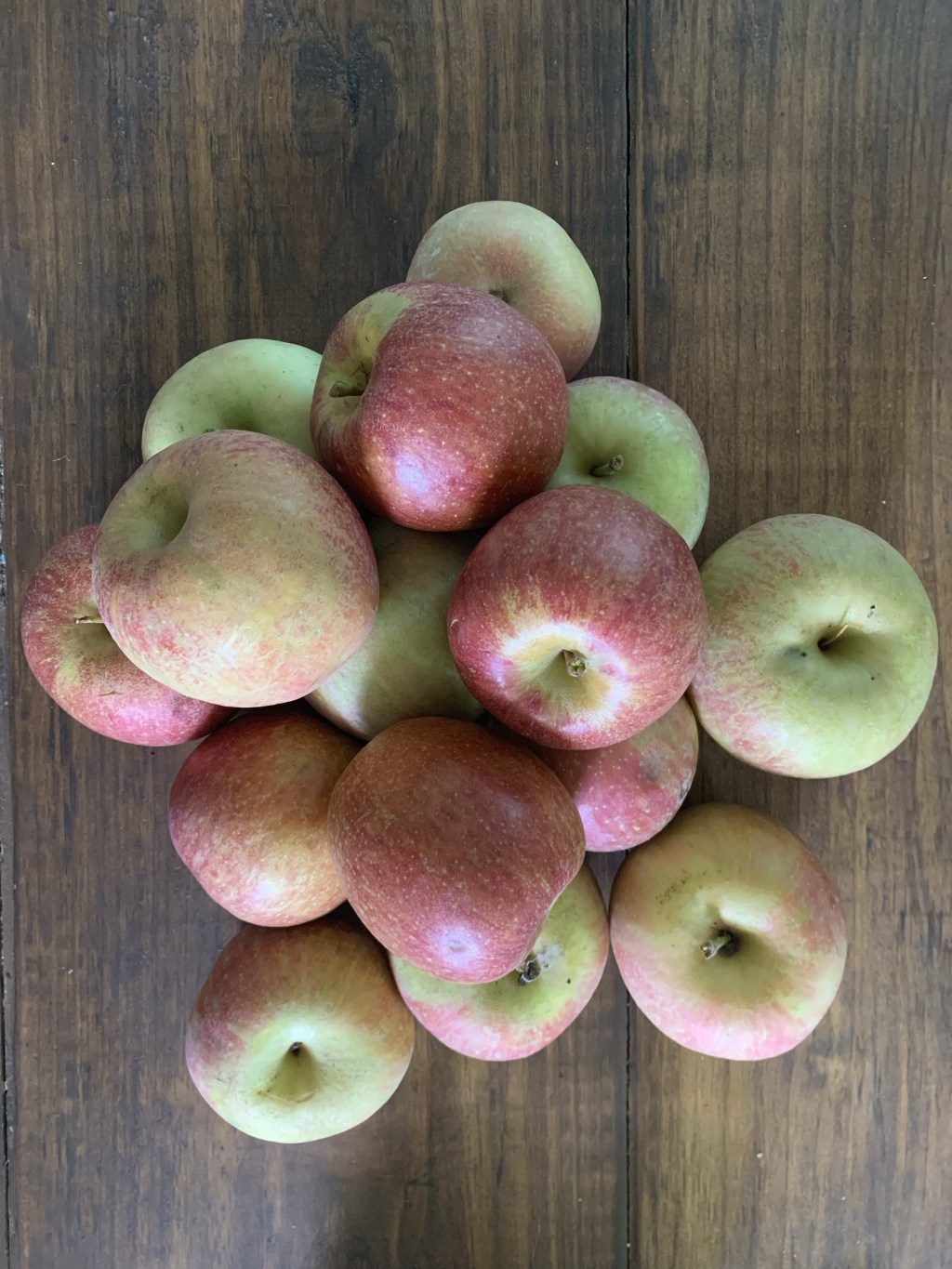 Apple Preserving The Easy&nbsp;Way